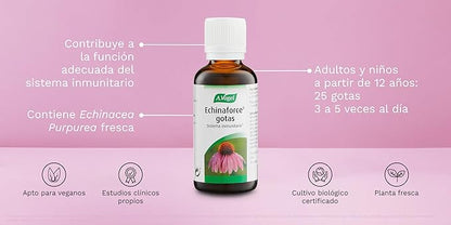 Echinaforce gotas tintura 100 ml A.Vogel